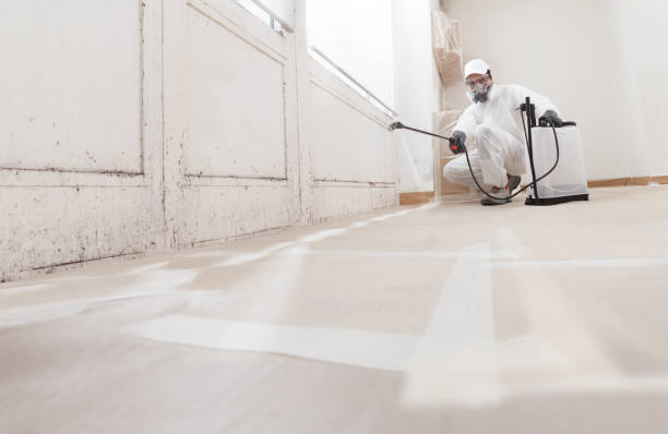 24/7 Emergency Mold Removal experts in Jonestown, PA